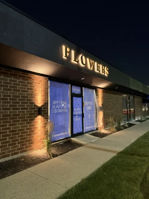 Flowers — Night Window Display