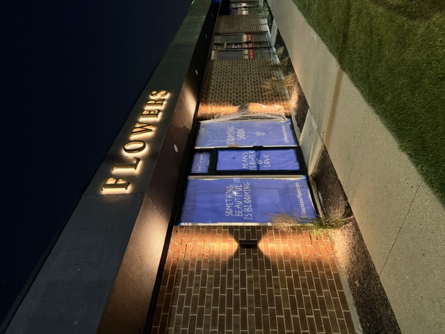 Flowers — Night Window Display